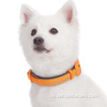 Anpassungsnylon Hundehalsbänder Custom Training Hundekragen